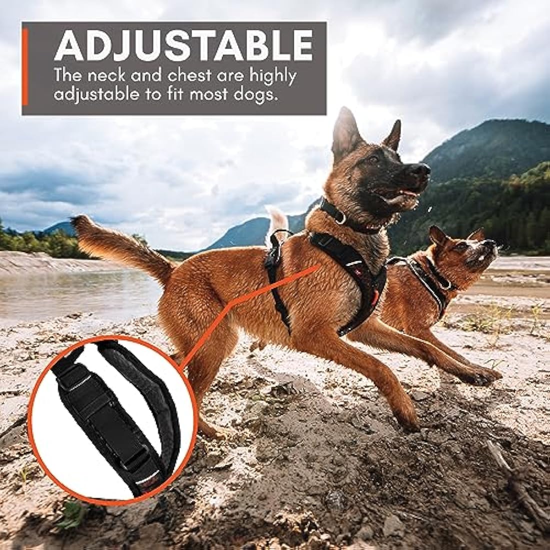 Rock Harness Parent (S)