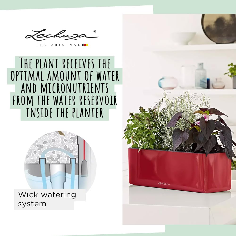 LECHUZA Self Watering Plant Pots Indoor CUBE Glossy Triple Plastic Planter without Drainage Hole H14 L40 W14 cm Red High-Gloss