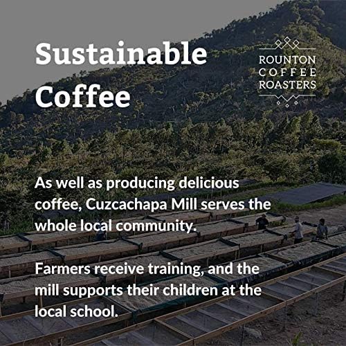 Rounton Coffee Roasters | 1kg Central American Coffee Beans | El Salvador Cooperative Cuzcachapa | Roasted in Yorkshire | 100% Arabica | Fresh Espresso Coffee Speacialty Beans