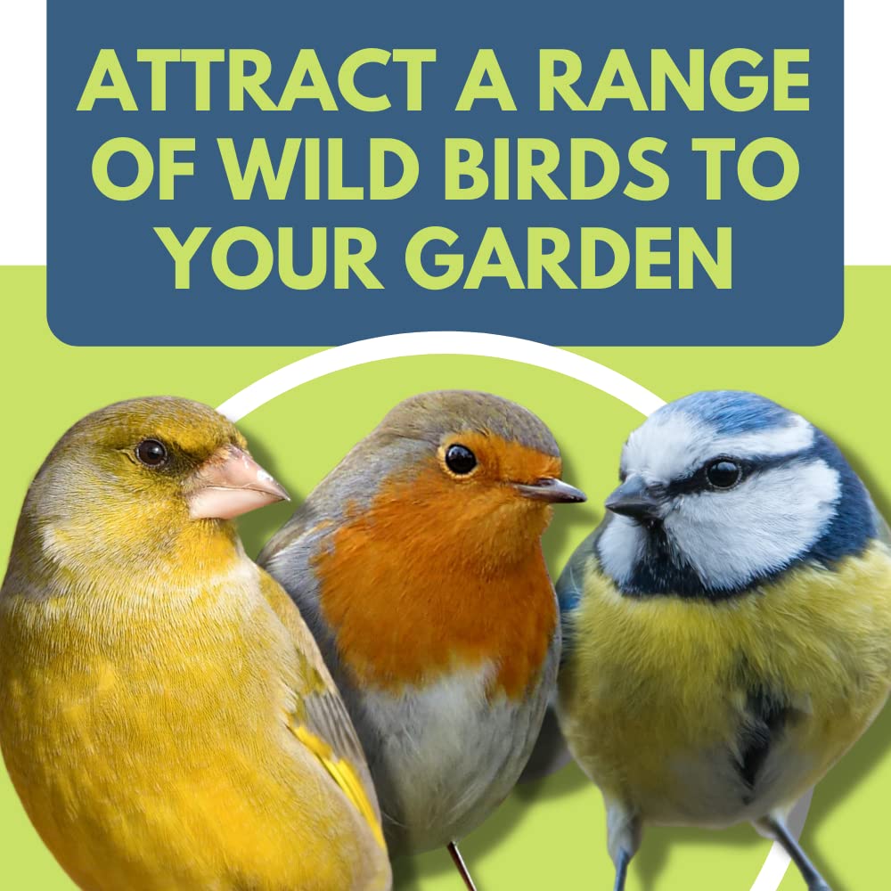 Pet Performance Garden Feast Wild Bird Seed Mix 20kg - All Year Round Wild Bird Feed With Mealworms & Suet Pellets - 100% Natural Nutritional Garden