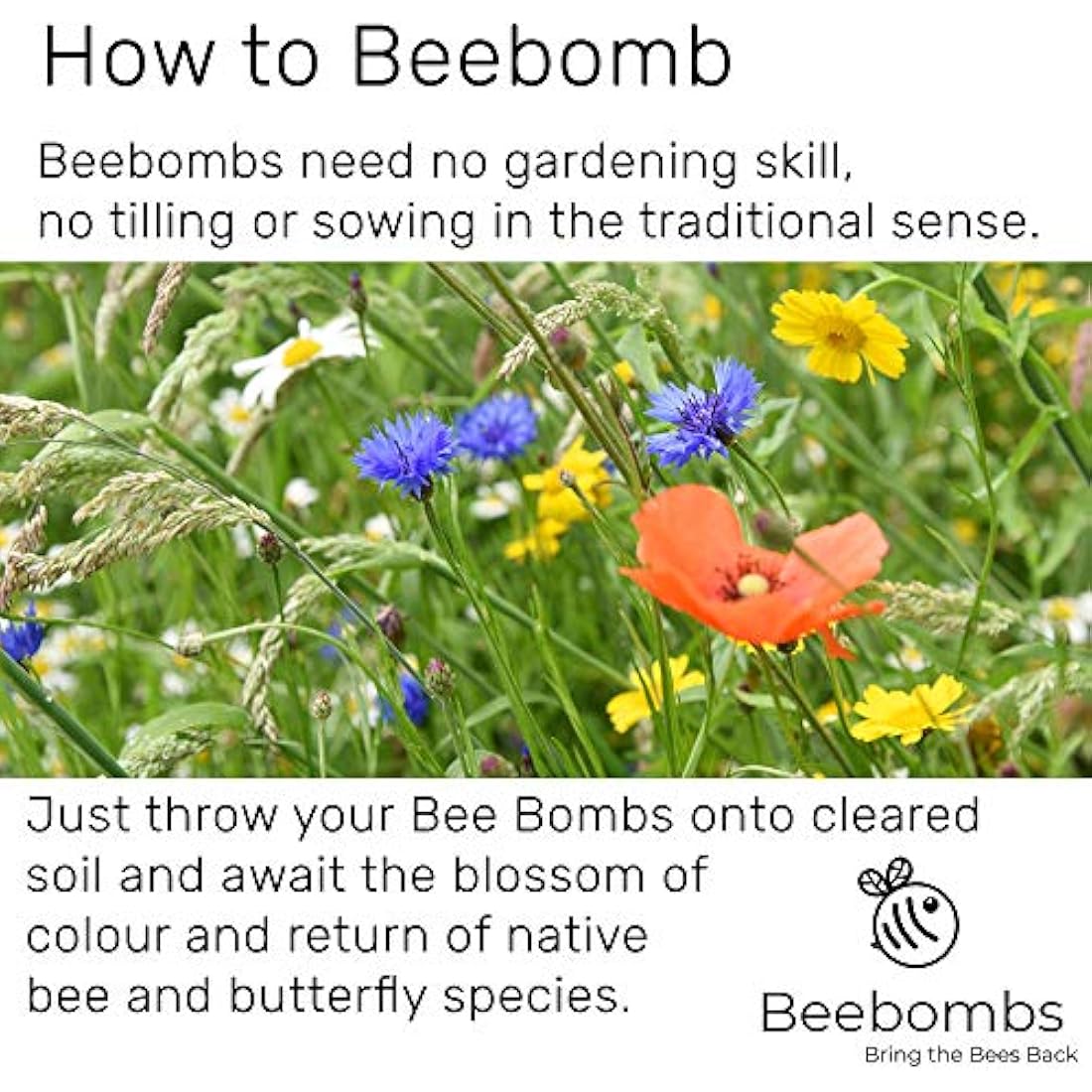 Official Beebombs Wild Flower Seeds UK Native Mix - Handmade in Dorset Wildflower Meadow Seed Balls, Bee Gifts, Gift for Gardener, 21sqft Coverage