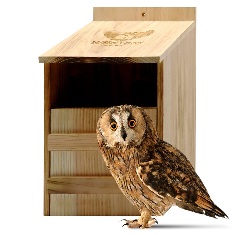 Owl House Cedar - Easy to Hang - Prebuilt Nesting Box for Barn & Screech Owls - Cedar Shavings & Screws Included