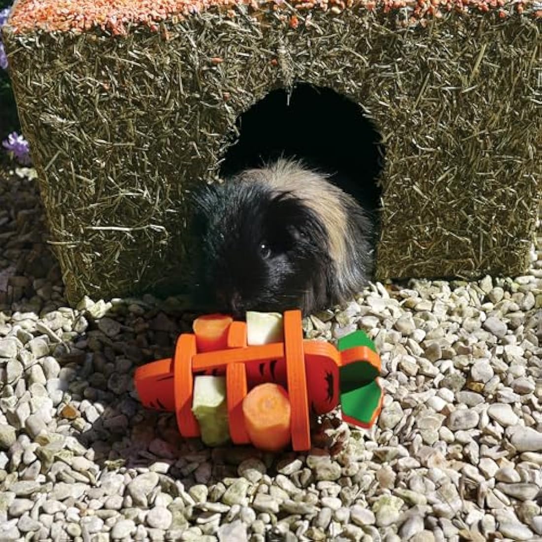 Rosewood Naturals Large Carrot Cottage for Small Animals - Edible Toy, Hay House, Den and Hideout for Rabbits, Guinea Pigs and Chinchillas
