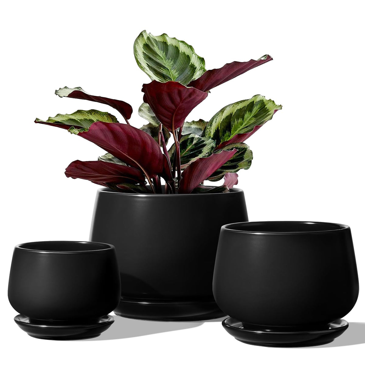 LE TAUCI Plant Pots, 10+13+16 cm Planters, Set of 3 Ceramic Planters with Drainage Hole and Saucer, Indoor Plant Pot with Hole Mesh Pad, Gifts for