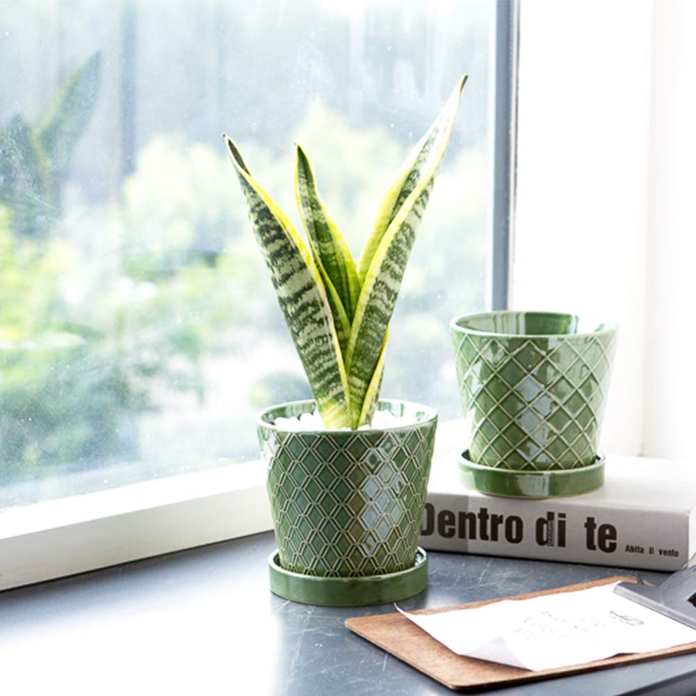 BUYMAX Plant Pots Indoor 5 inch Ceramic Flower Pot with Drainage Hole and Ceramic Tray - Gardening Home Desktop Office Windowsill Decoration Gift,