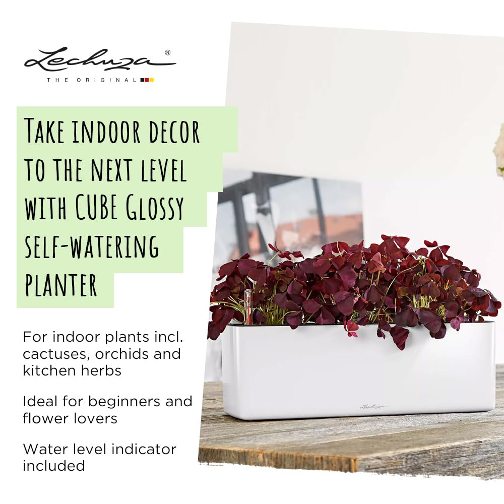 LECHUZA Self Watering Plant Pots Indoor CUBE Glossy Triple Plastic Planter without Drainage Hole H14 L40 W14 cm Red High-Gloss