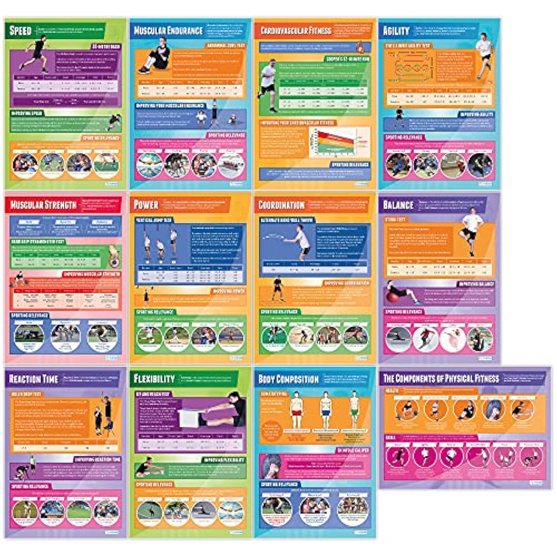 Daydream Education Components of Physical Fitness Classroom Posters - Set of 12 - EXTRA LARGE - A1 (850mm x 594mm) - Gloss Paper - PE Secondary School Wall Charts
