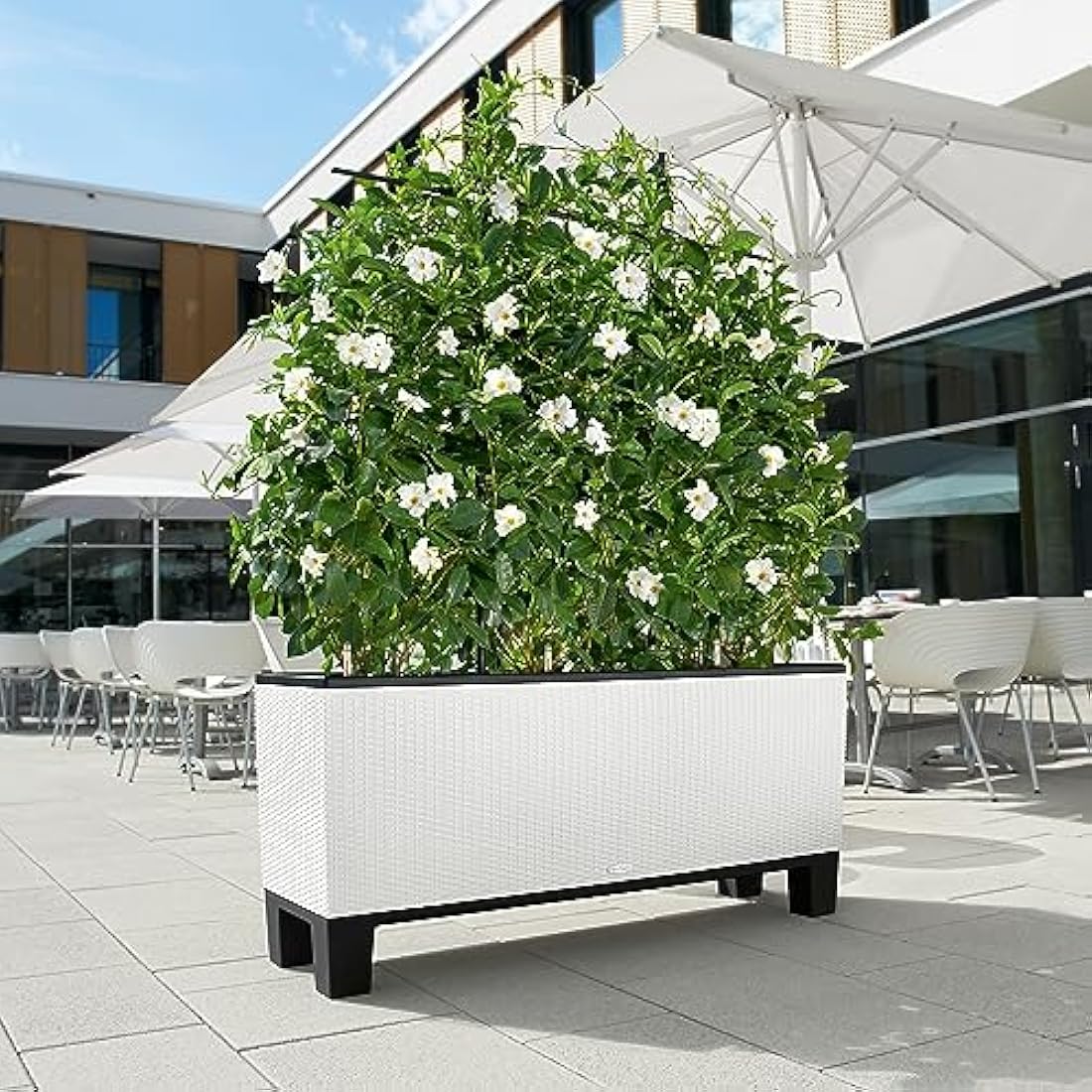 LECHUZA TRIO Cottage 30 white 15000
