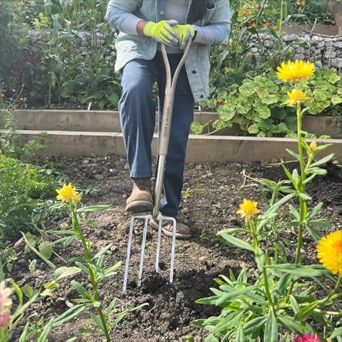 Spear & Jackson 4550DF Traditional Stainless Steel Digging Fork