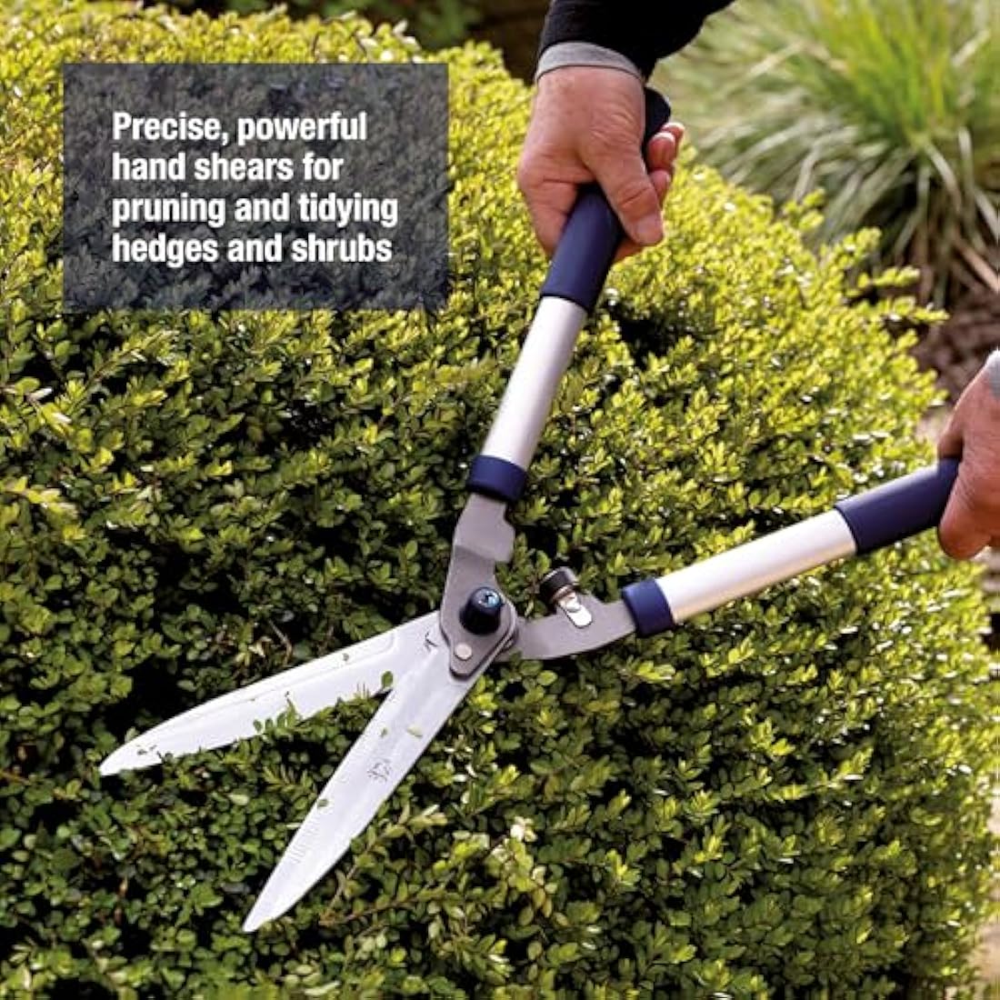 Spear & Jackson 8110RS Razorsharp Notched Hedge Shear, Blue