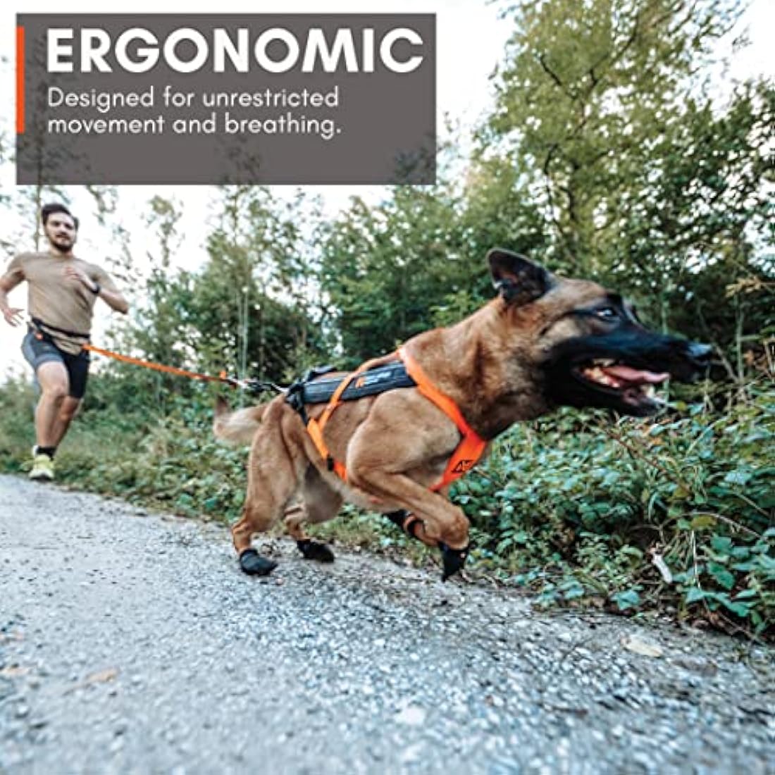 Non-stop dogwear Freemotion harness 5.0 Dog Pulling Harness for Sports like Running, Biking and Skiing with Dogs, Professional Adjustable Dog Harness, Orange/Black, Size 6