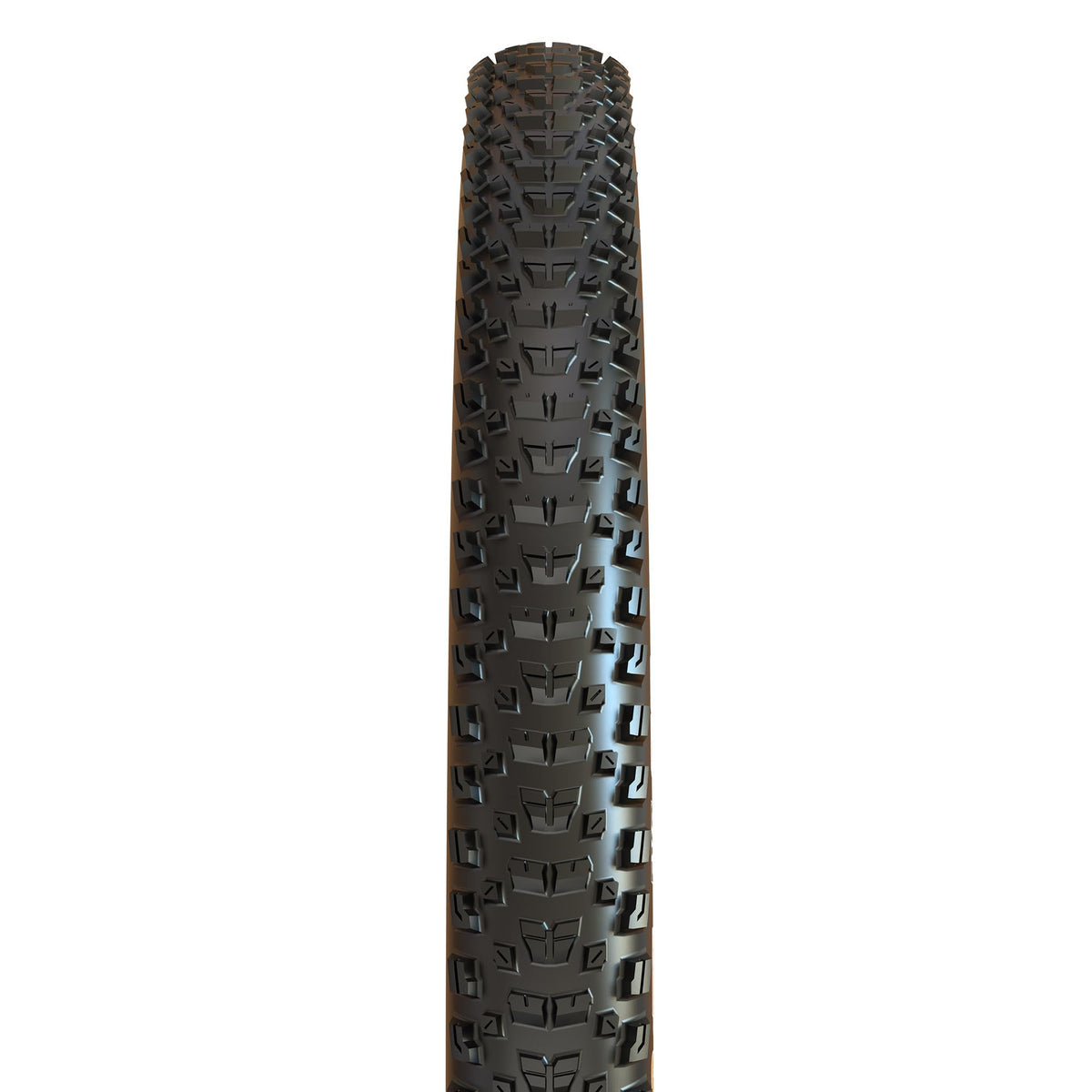 Maxxis Rekon 29x2.40 WT 60 TPI Folding Dual Compound (EXO/TR) Tyre, Black