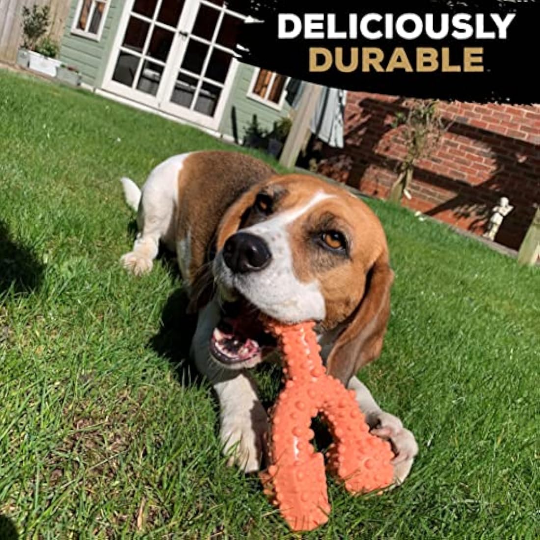 TastyBone TrioBone Nylon Dog Chew Toy for Small Dogs (Bacon) - Indestructible for Aggressive Chewers, Everlasting Flavour, Strong Healthy Teeth, Made in the UK