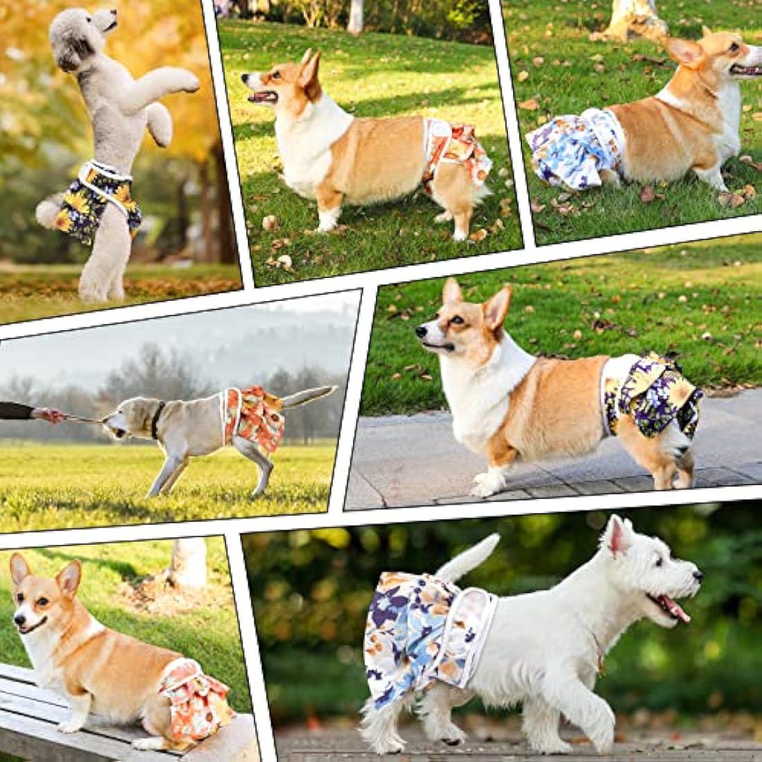 COMSLE Dog Nappies Female Medium 3 Pack, Dog Period Heat Pants in Season, Super Absorbent & Adjustable Sanitary Reusable Doggy Puppy Diapers