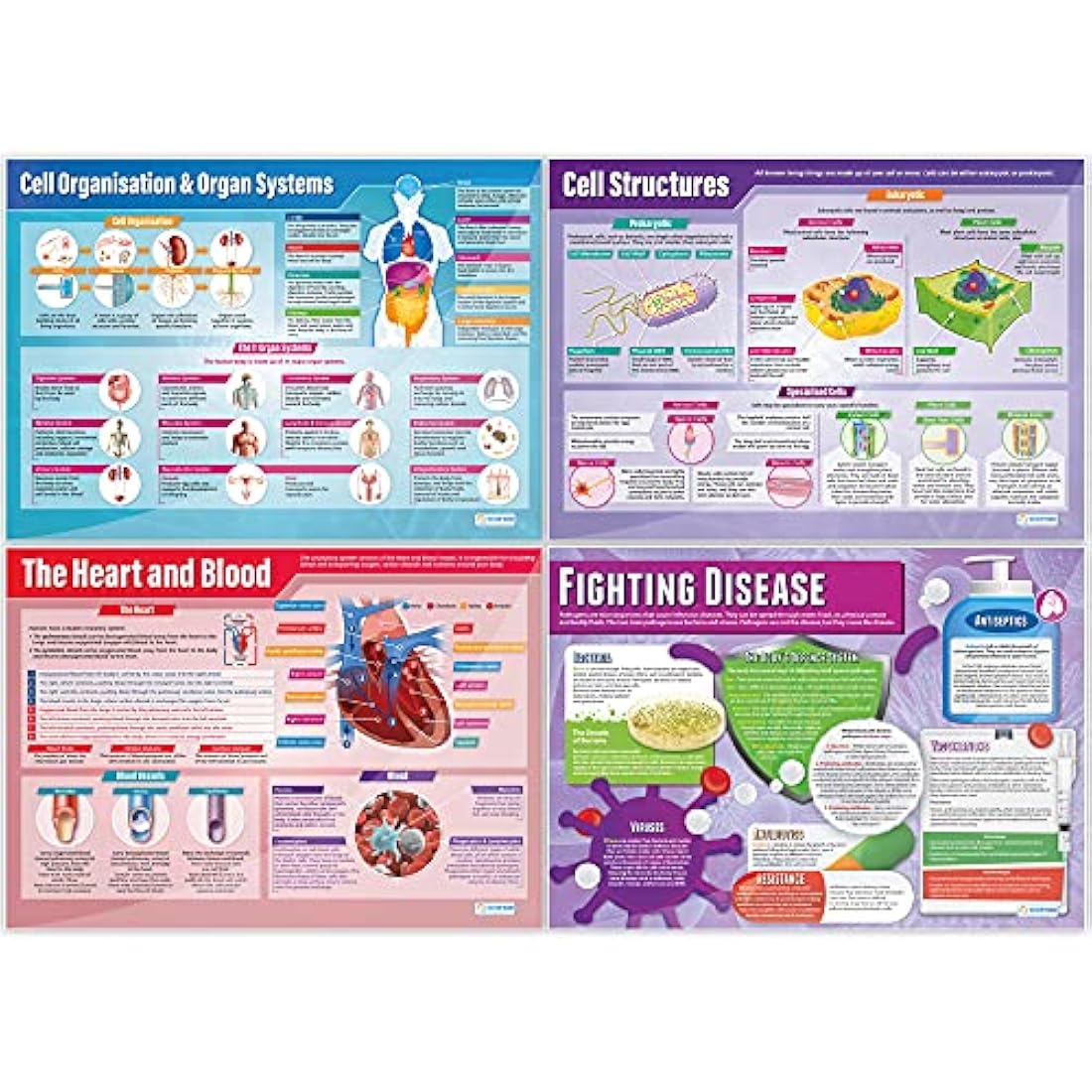 Daydream Education Biology Posters - Set of 13 | Science Posters | Gloss Paper measuring 850mm x 594mm (A1) | Science Charts for the Classroom | Education Charts