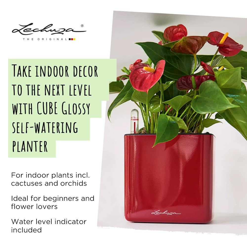 LECHUZA Self Watering Plant Pots Indoor CUBE Glossy 16 Small Plastic Planter without Drainage Hole H16 L16 W16 cm Red High-Gloss