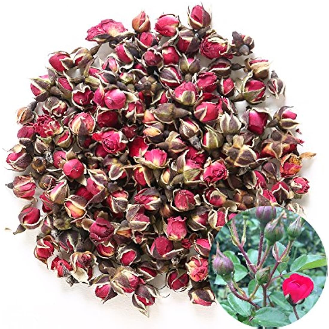 TooGet Dried Flower Tea Fragrant Red Golden-rim Rose Buds Rose Petals Natural Herbal for Tea, Culinary Food Grade - 4 OZ