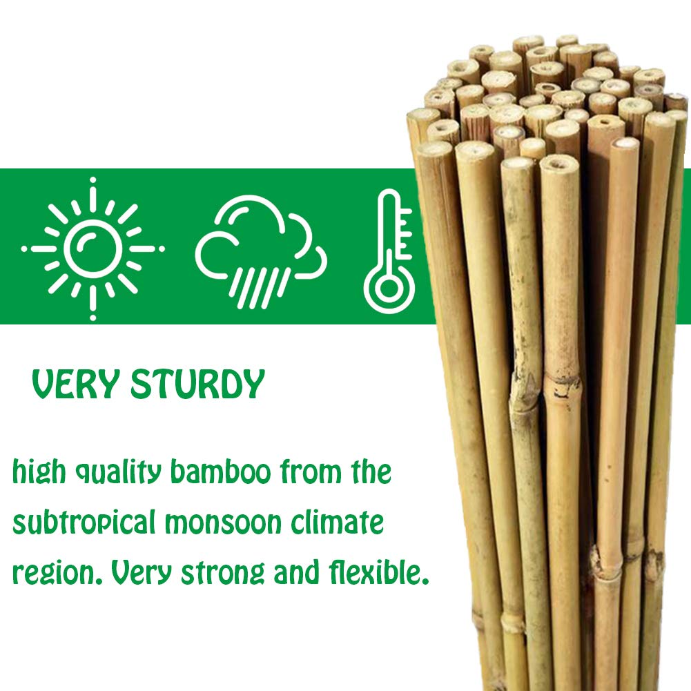 Mininfa Natural Bamboo Canes 5 Feet, Bamboo Stake, Eco-friendly Garden Stakes, Plant Stakes Supports Climbing for Tomatoes, Trees, Beans, 20 Pack