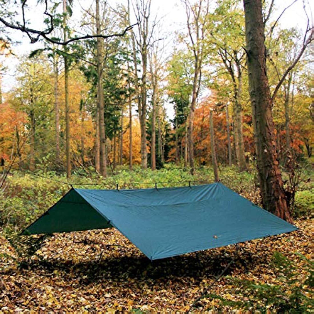 DD Hammocks Tarp 4x4 - Large Weatherproof Tapaulin for Group Camping and Outdoor Bushcraft Shelter