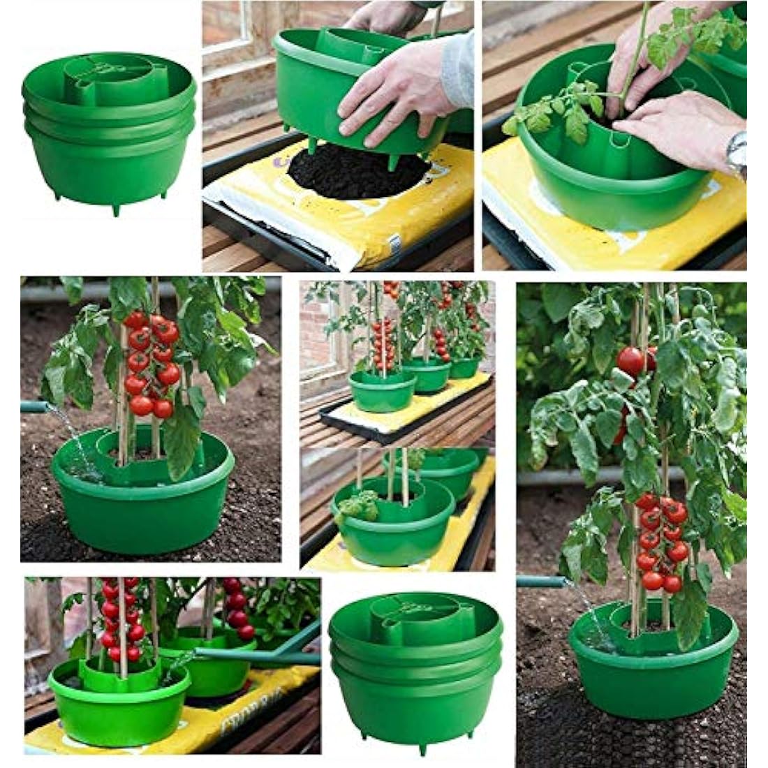 Plant Halos Pots Watering Crop Support Garden Plant Halo (9, GREEN)