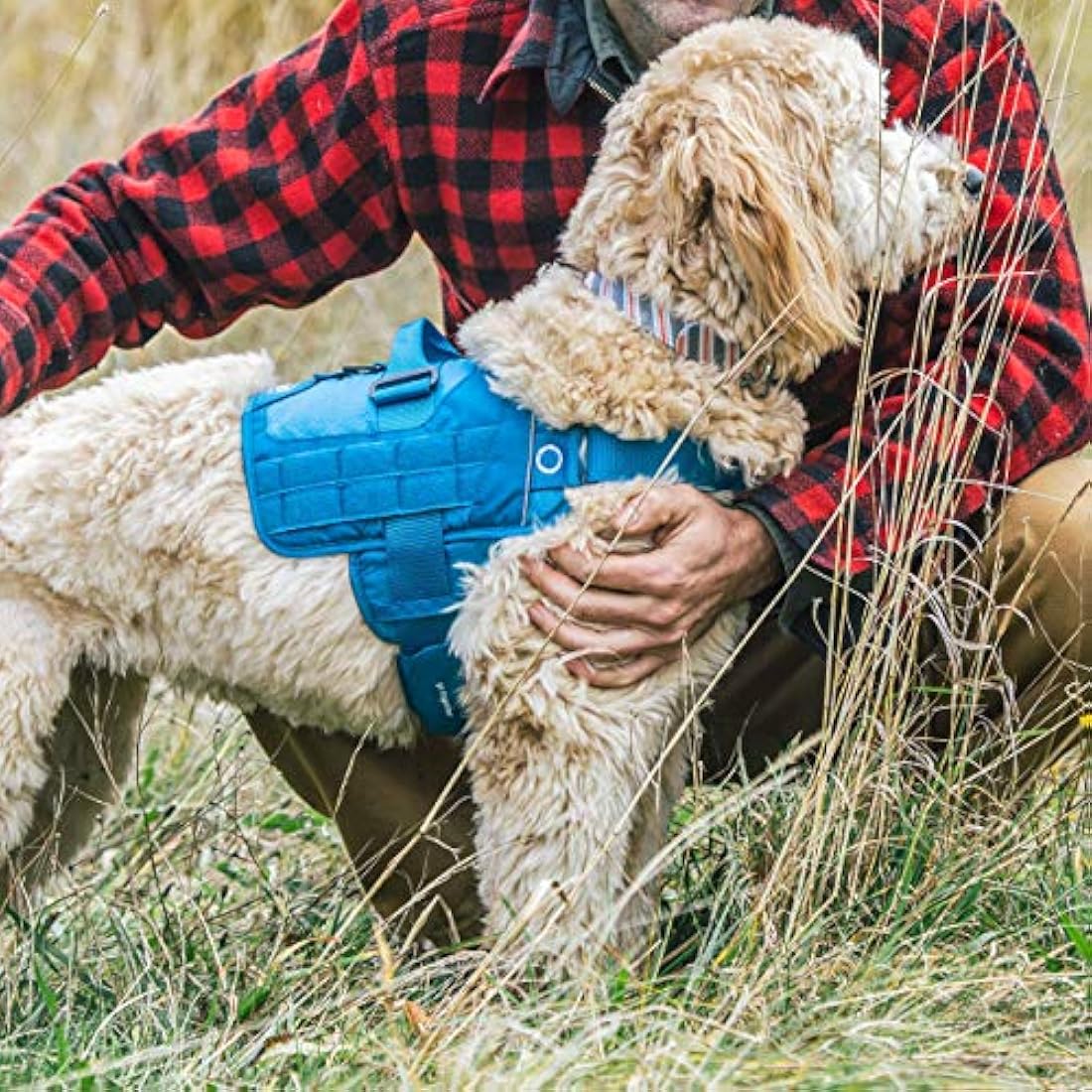Kurgo RSG Dog Townie Harness, Easy On/Off Dog Hiking Harness, Adjustable, MOLLE Compatible, Small-Black