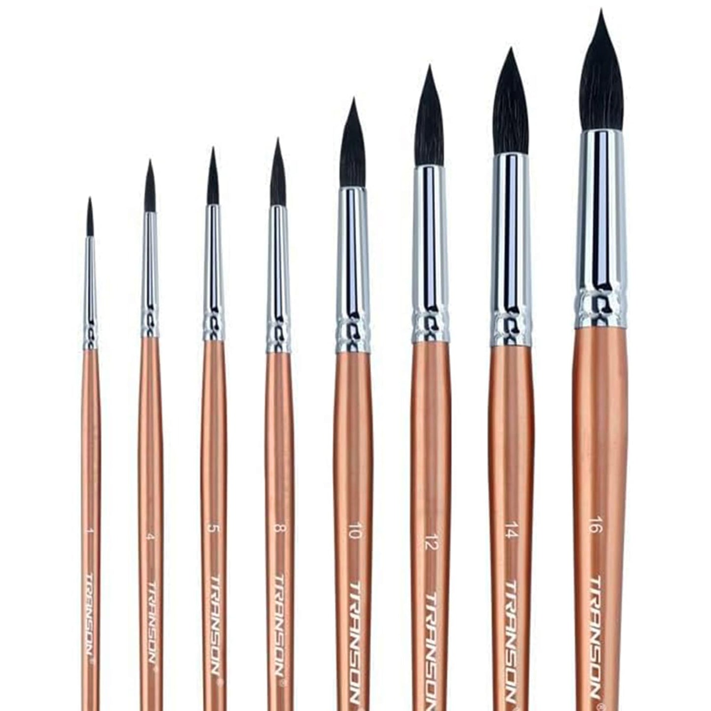 Transon Round Watercolor Detail Paint Brushes Goat Hair 8pcs for Watercolors,Acrylics,Inks,Gouache,Oil and Tempera