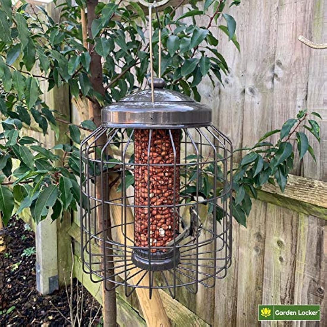 Large Heavy Duty Squirrel Proof Bird Feeder for Peanut Feed Outdoor Garden use - Mocha Brown - with Strong Galvanised Metal Cage to Deter Squirrels & Large Birds