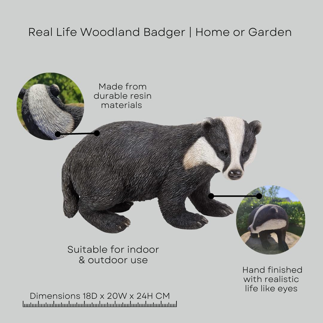 Real Life Woodland Badger | Highly Detailed Frost Resistant Resin Home or Garden Decoration | XRL-BADG-D