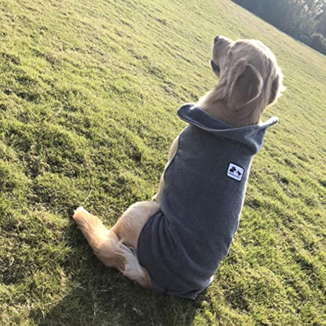 Morezi Cozy Fleece Dog Coats Puppy Clothes Elastic Belly Vest Waistcoat Winter Warm Jacket Reversible Dog Coat for Small Medium Large Dogs - Gray - S