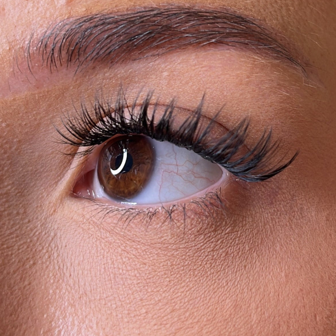 Pre-Glued Lashes - K Glue No Faff Lash - Mor