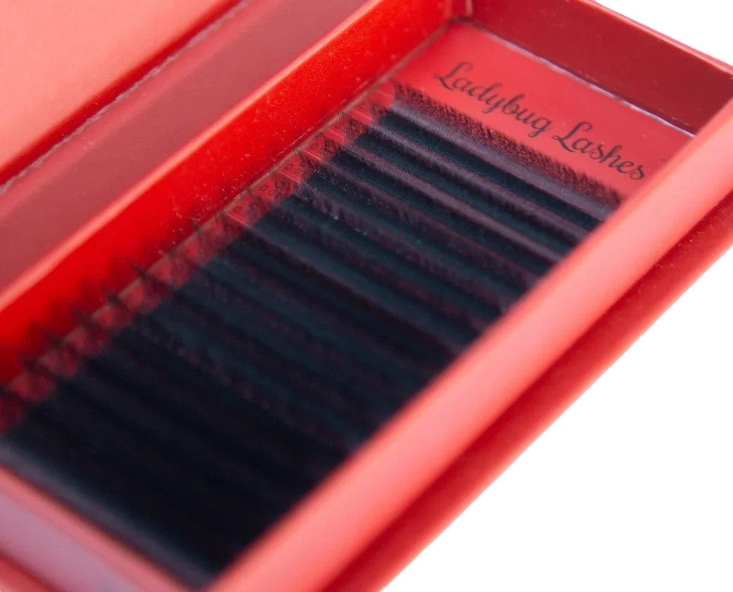 6D Clover Lash Single Length
