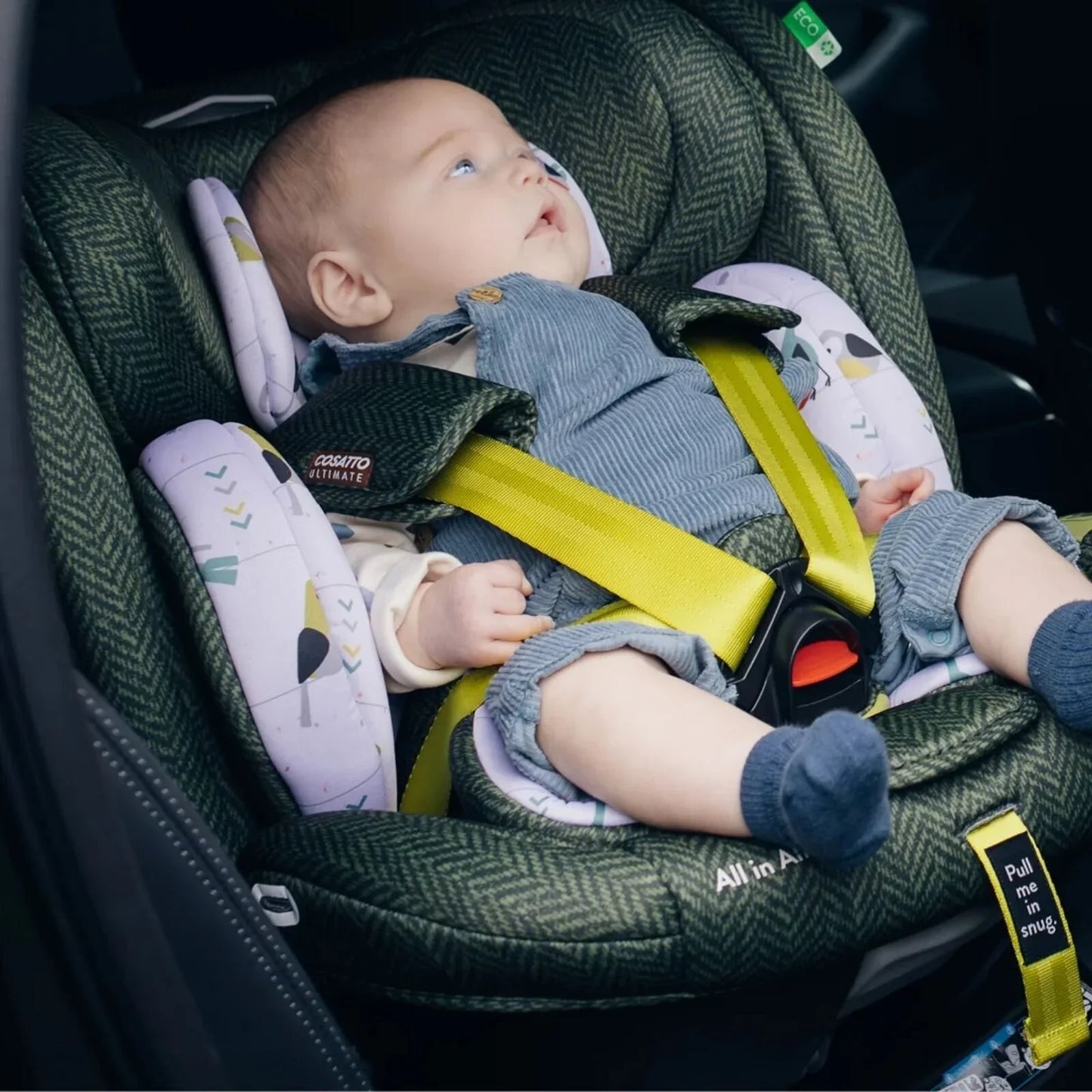 Cosatto All in All Extra i-Size 360 Car Seat - Meadow