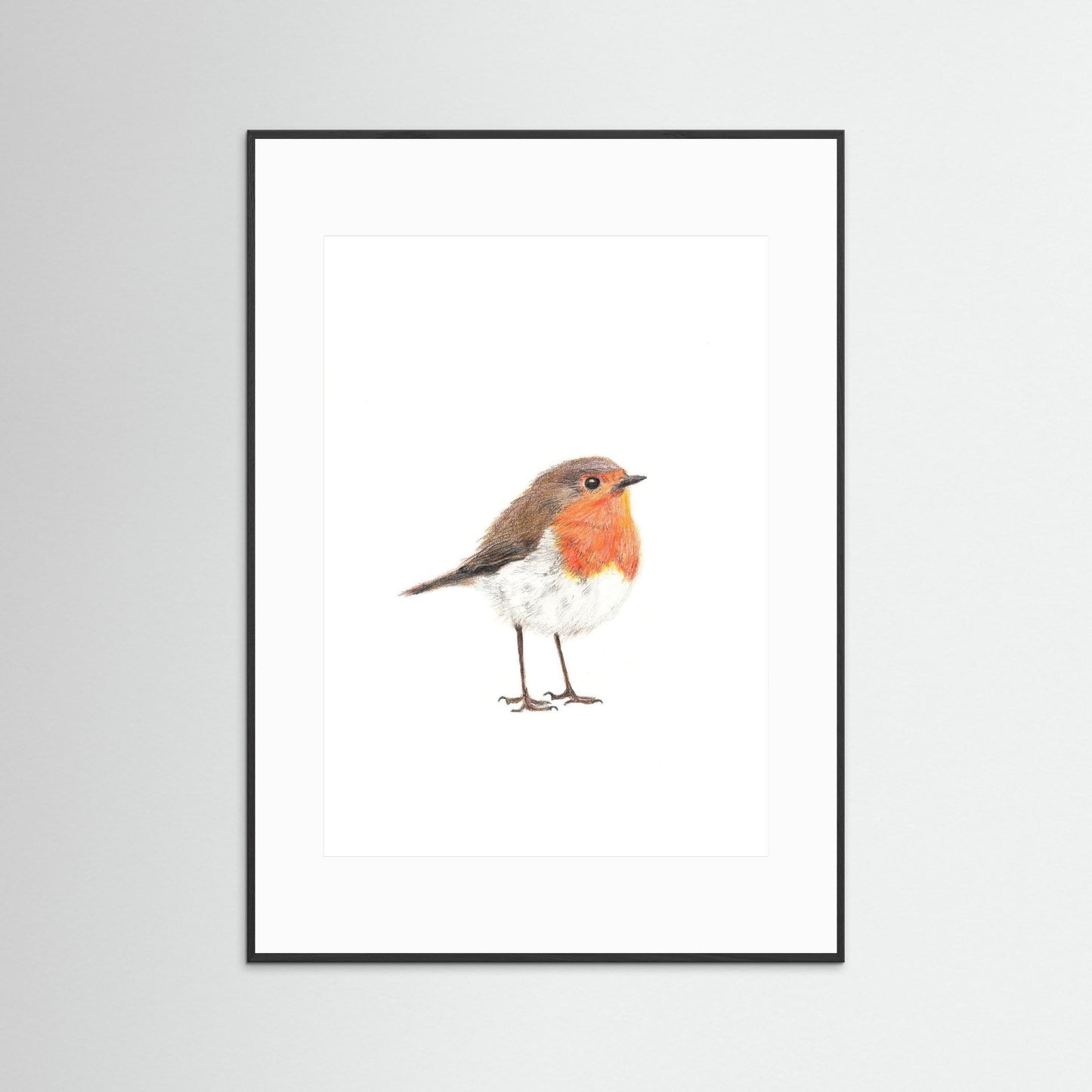 Robin Woodland Art Print