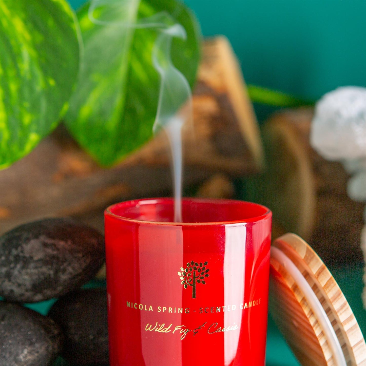 130g Wild Fig & Cassis Soy Wax Scented Candle