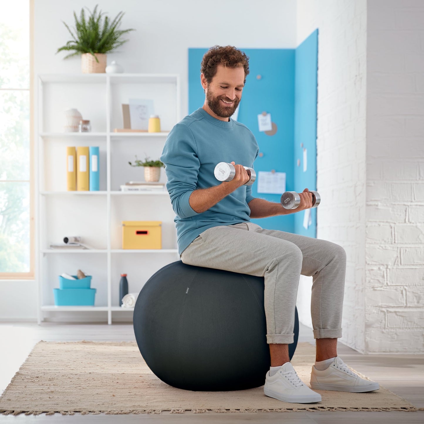 Leitz Active Sitting Ball, Ergonomically Designed Desk Chair Alternative, 65cm Diameter, Includes Fabric Ball Cover, Hand Air Pump & 2 x Plugs, Ergo