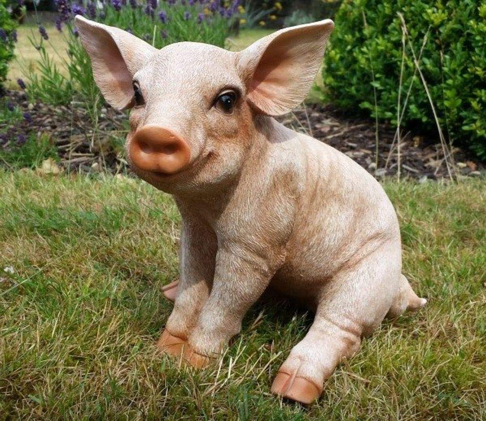 Real Life Medium Piglet Garden Ornament (SizeD)