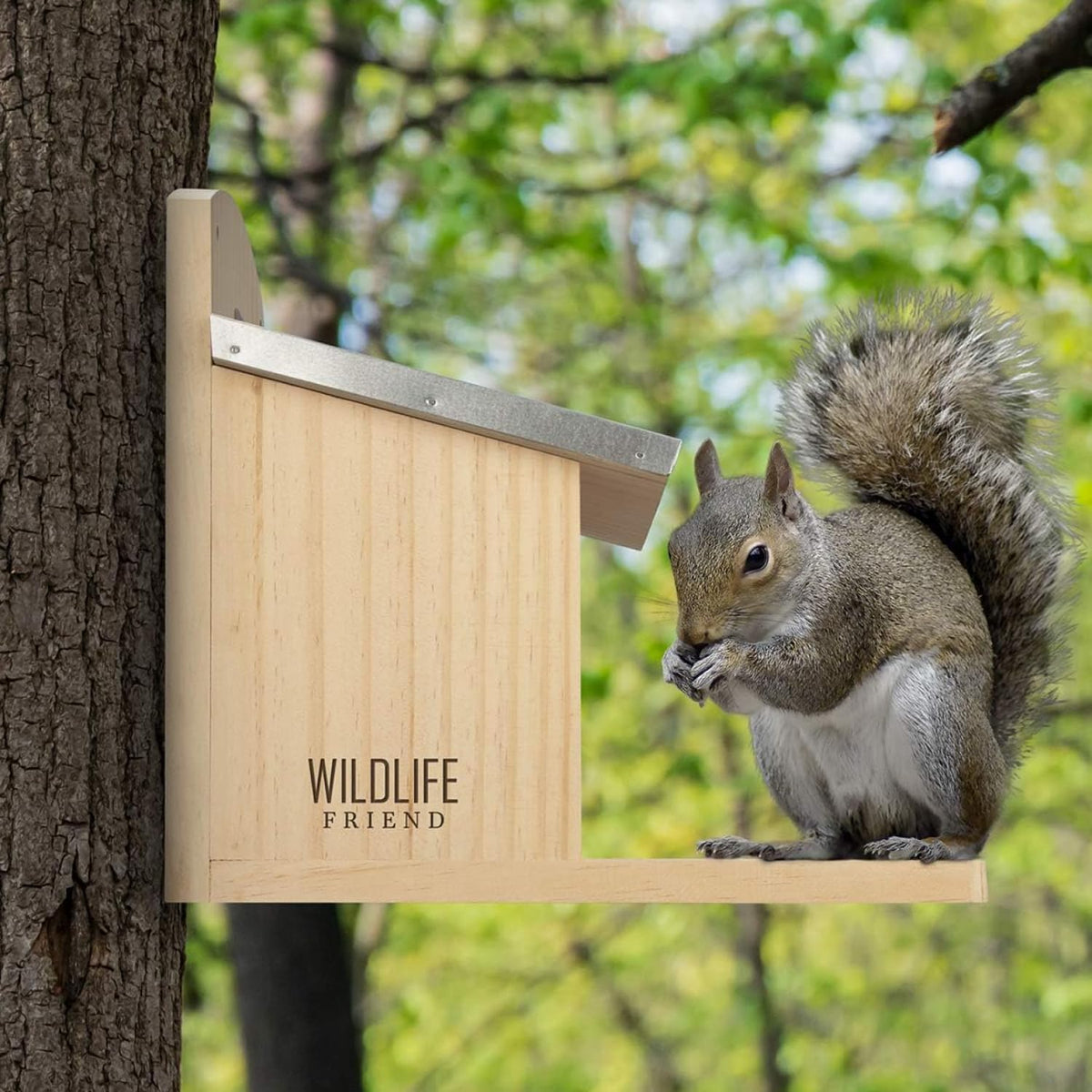Squirrel Feeder Maxi - Extra Large and Stable - with Metal Roof, Natural Wood with Extra Long Feeding Platform - Hanging Feeding Station, Squirrel