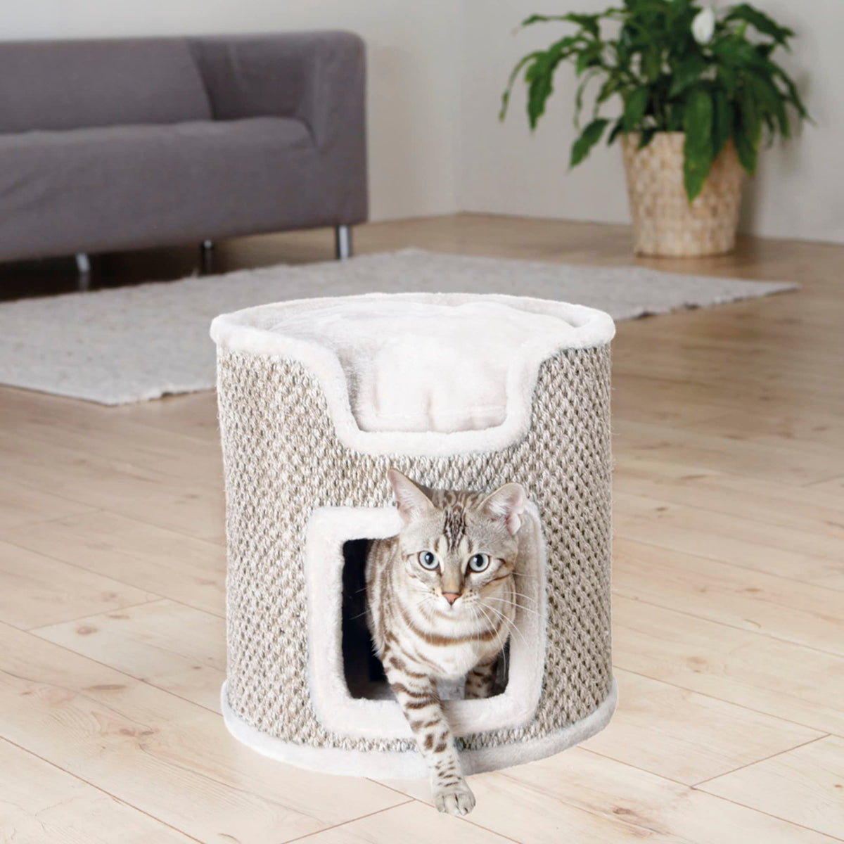 Trixie Pet Products Ria Cat Tower