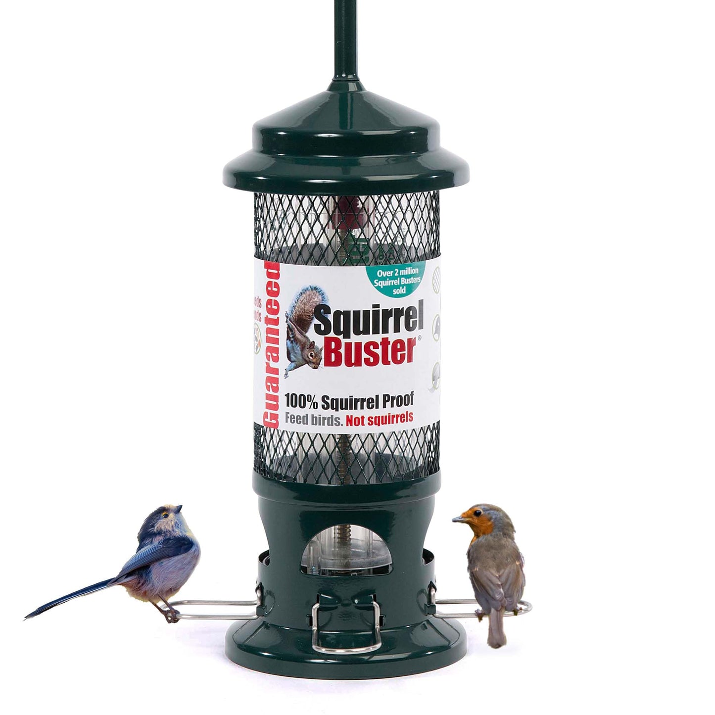 Squirrel Proof Bird Feeder for Seeds - Jacobi Jayne? Squirrel Buster? Seed Bird Feeder ? Pigeon Proof Metal Bird Seed Feeder for Wild Birds ? Easy