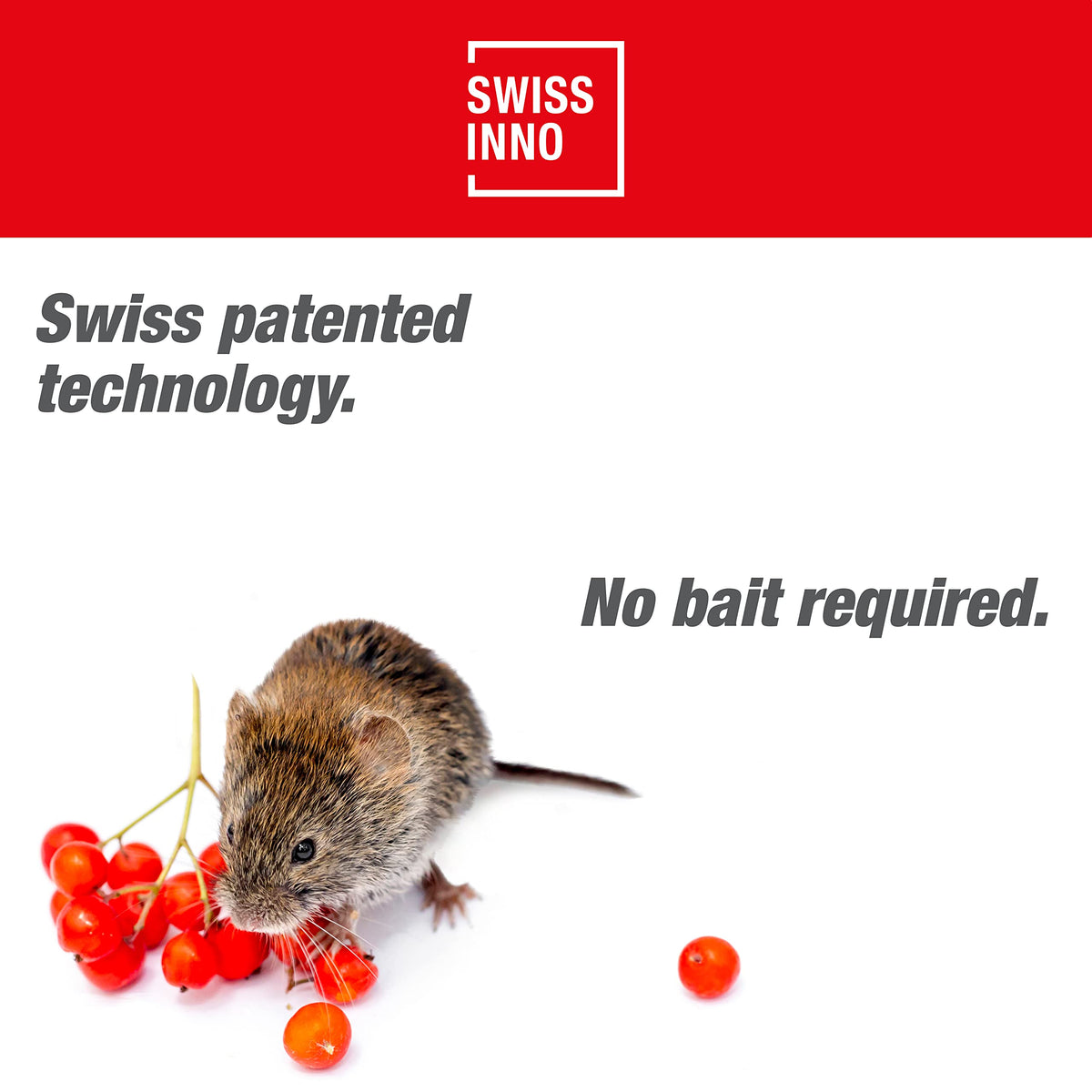 SWISSINNO Vole Trap PRO SuperCat with Accessory Set - Efficient Snap Trap for Field and Mole Control, Patented Trigger Mechanism, Safe and Reusable -