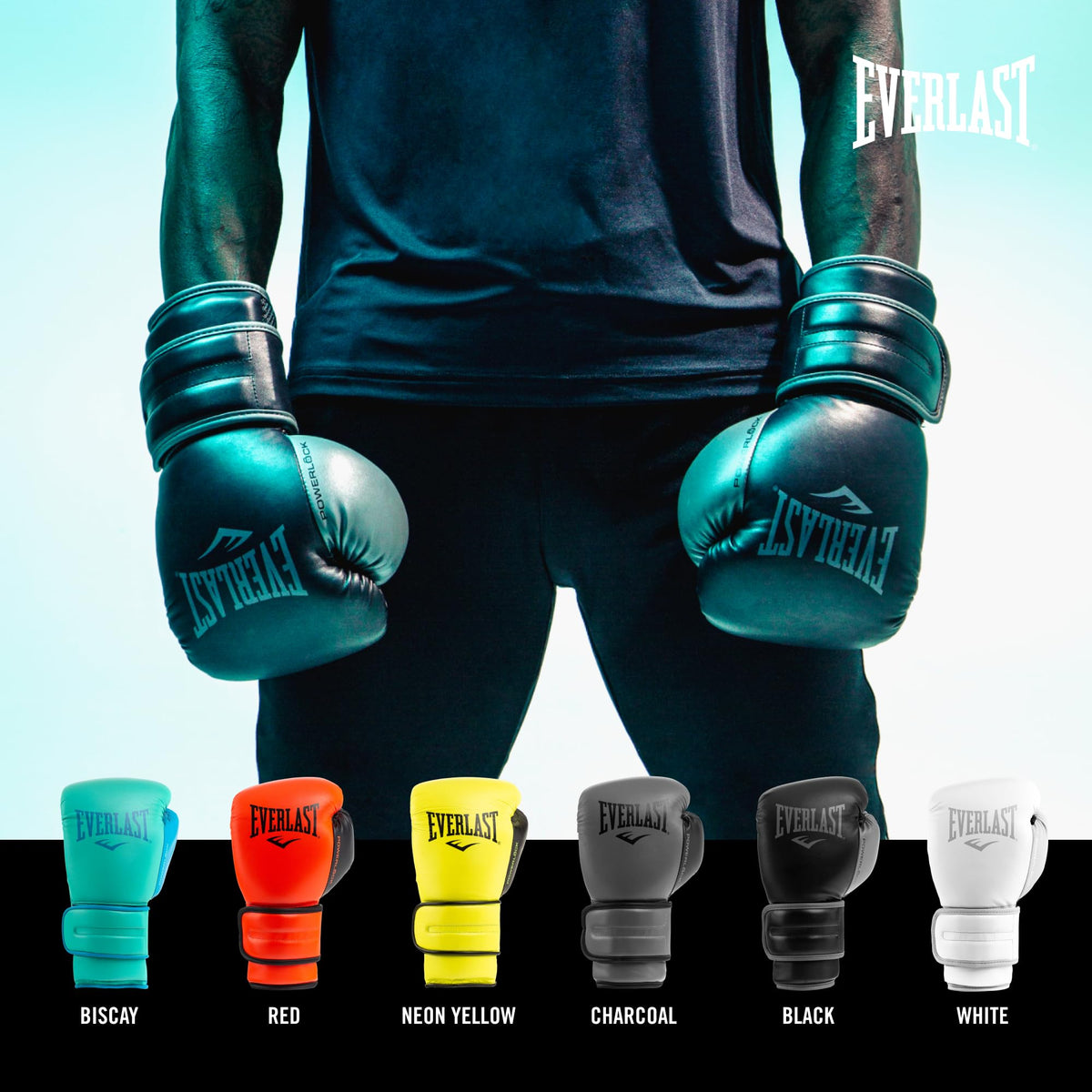 EVERLAST Powerlock 2R Training Gloves - Black - 14oz