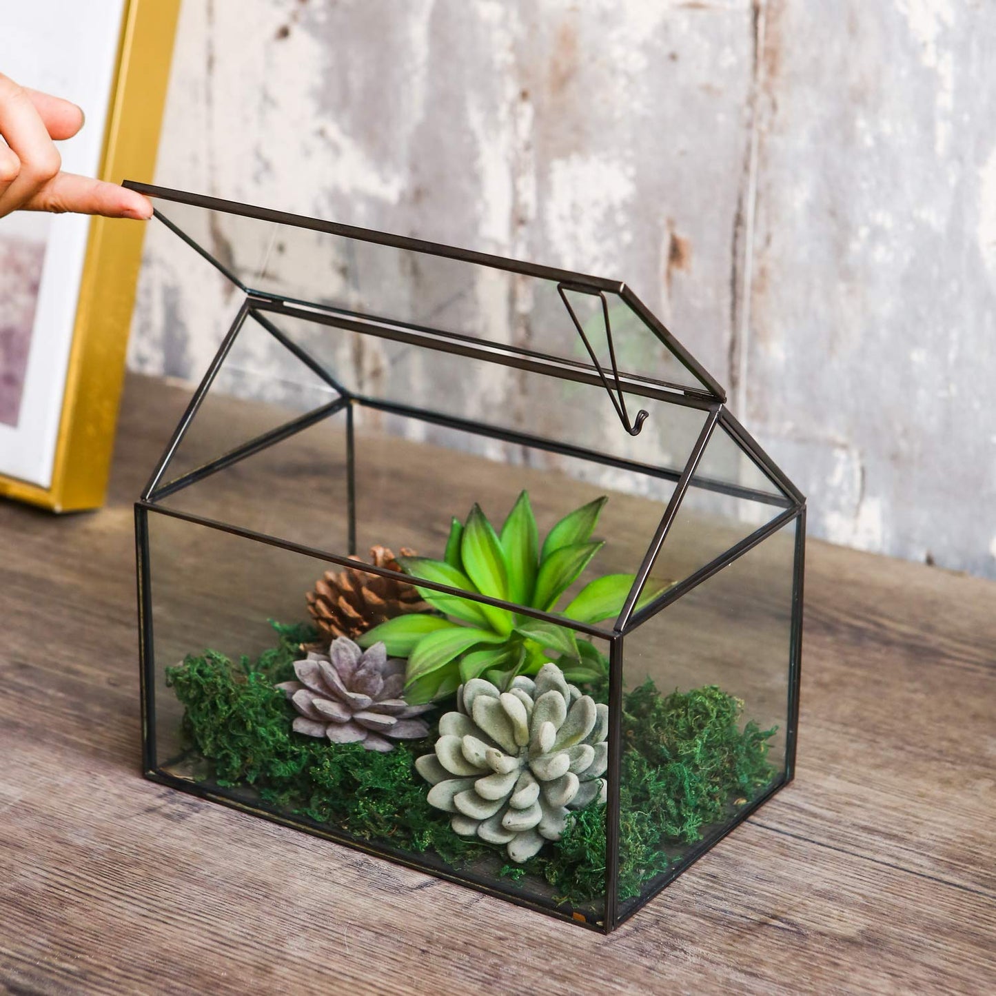 WONSUN House Shape Close Glass Geometric Terrarium - Tabletop Succulent & Air Plant, Flower Pot - Moss Fern Reptile Terrarium (Black)