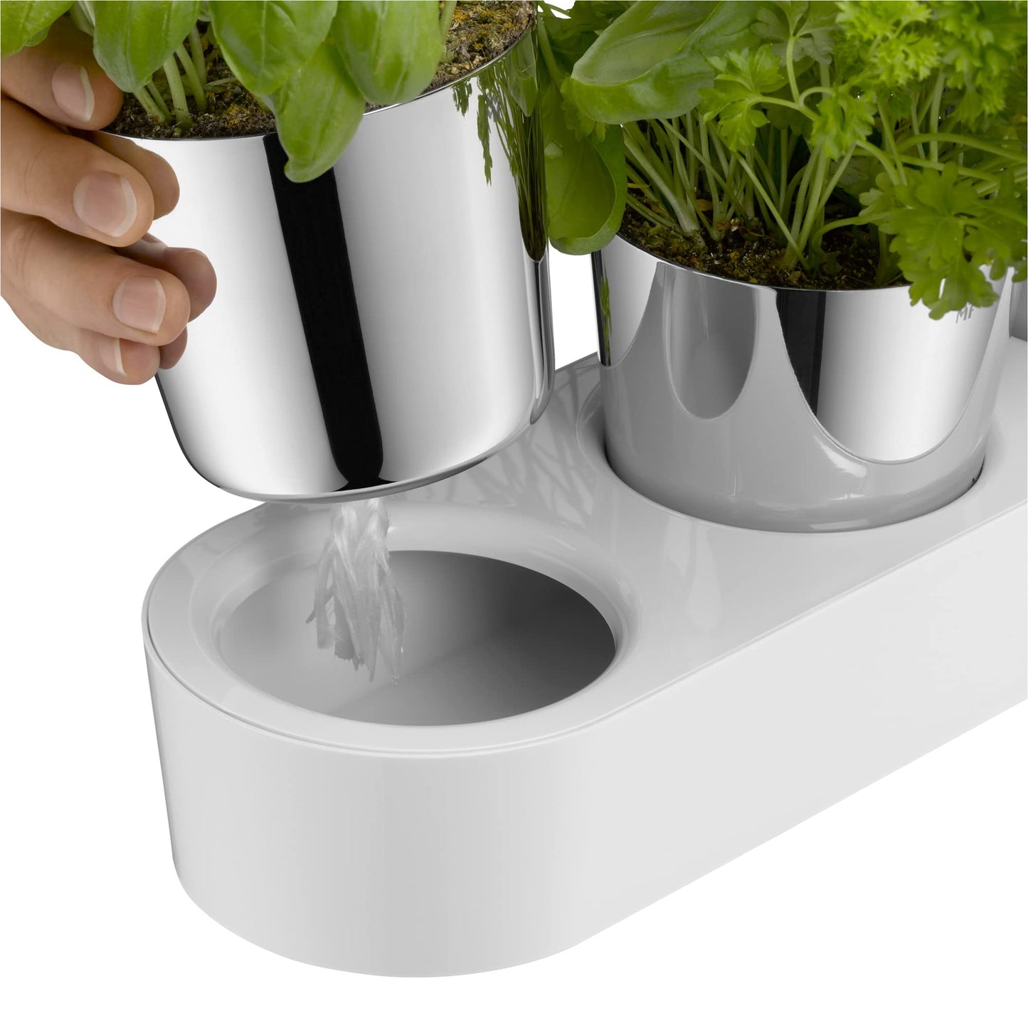 WMF Gourmet herb pot with irrigation system 3-part, herb garden for the kitchen, 36x 12.5x 12.5 cm, for fresh kitchen herbs, white