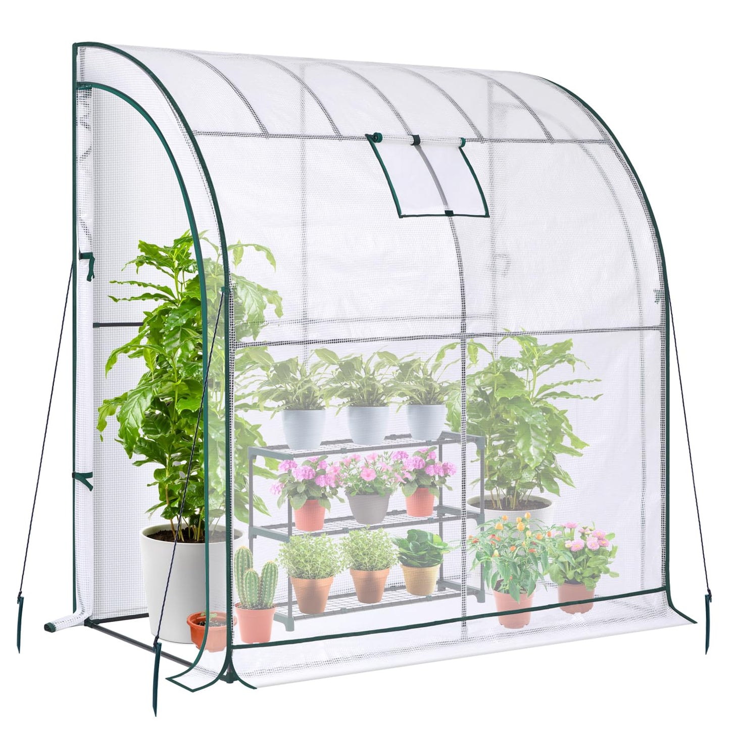 Lean to Greenhouse with Greenhouse Shelving: Ohuhu Portable Walk-in Green House with Mesh Windows 200x100x210 cm Reinforced Lean-to Wall Greenhouses