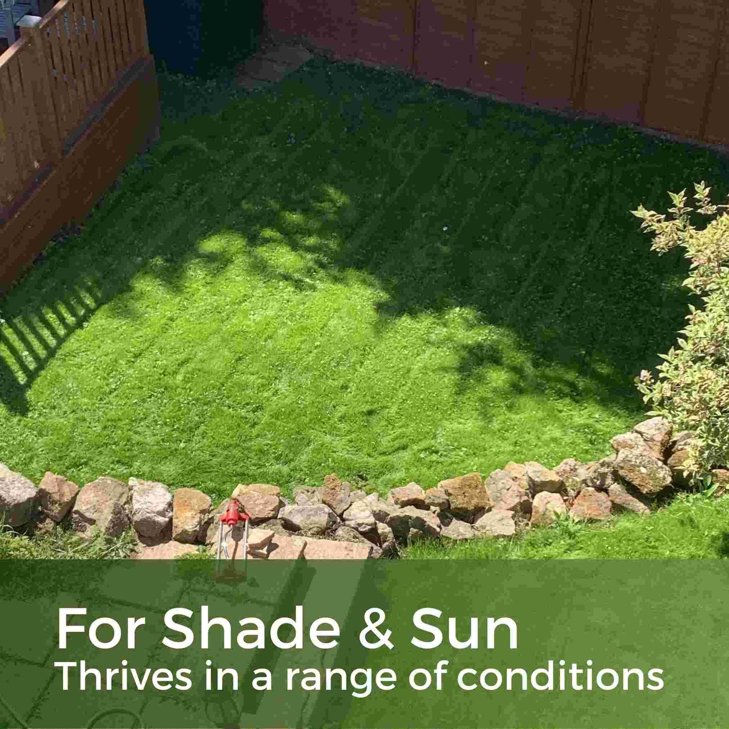Shade & Sun Grass Seed - Shady Mix Lawn Seed - Grows in Sun and Shade - 5kg - Garden Lawncare Guy
