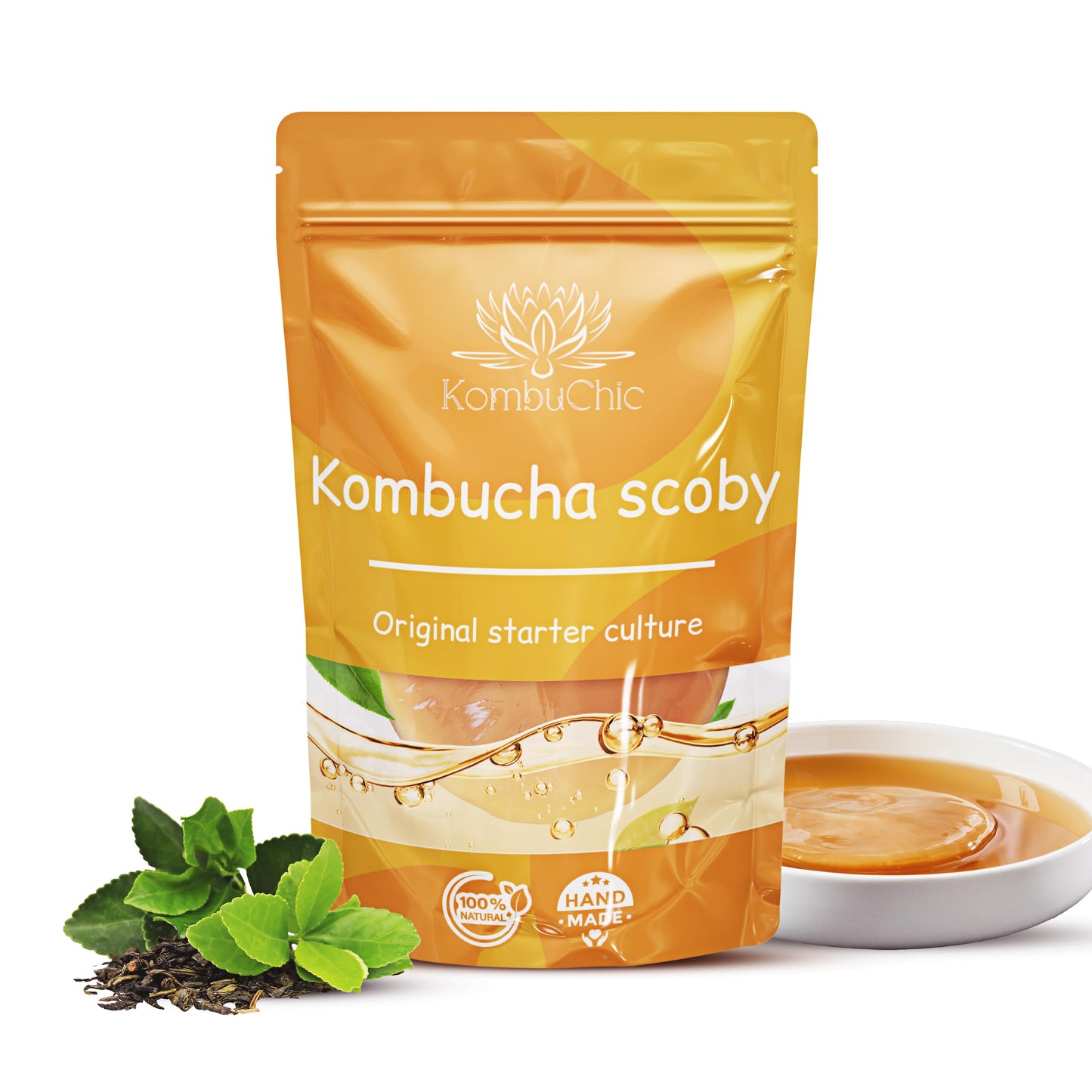 Kombucha scoby Starter Kit + Preparation Tips, Basic Recipe Guide