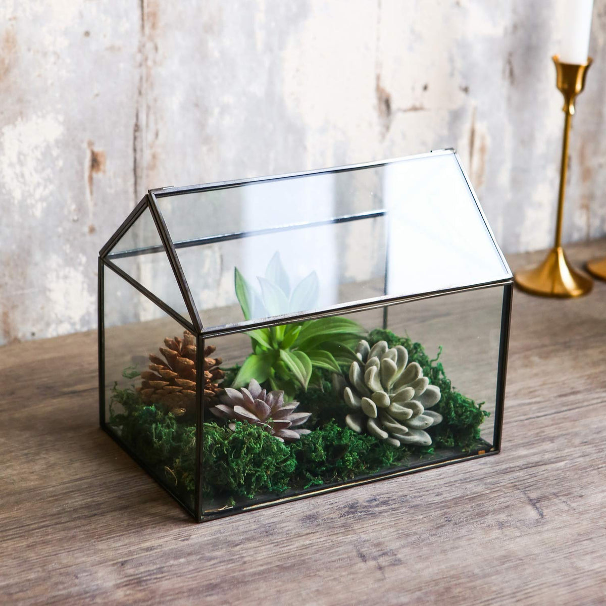 WONSUN House Shape Close Glass Geometric Terrarium - Tabletop Succulent & Air Plant, Flower Pot - Moss Fern Reptile Terrarium (Black)