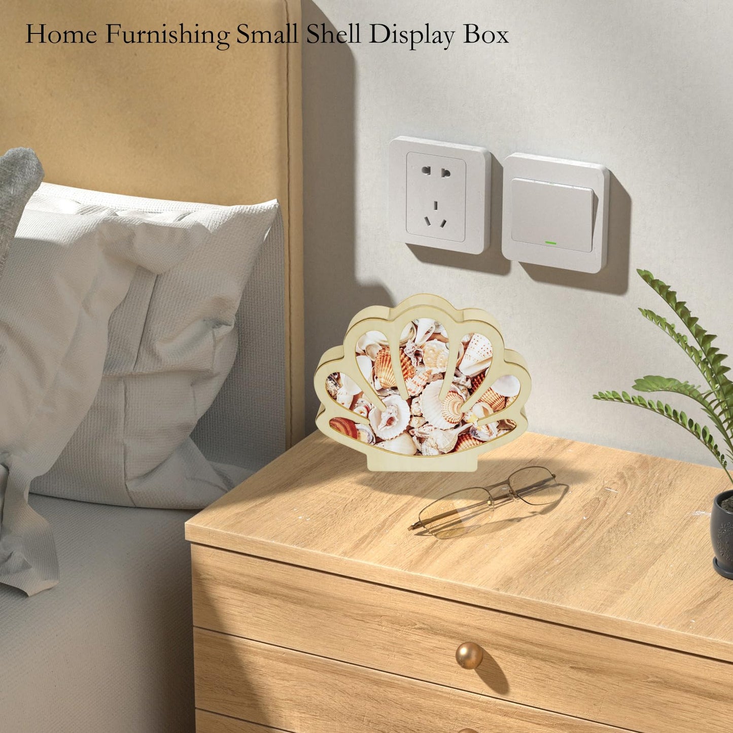 HINGTAI Sea Shell Holder Wooden Seashell Display Case Handmade Small Shadow Box Home Decoration with Clear Acrylic Panel Coastal Decor Bedroom Decor