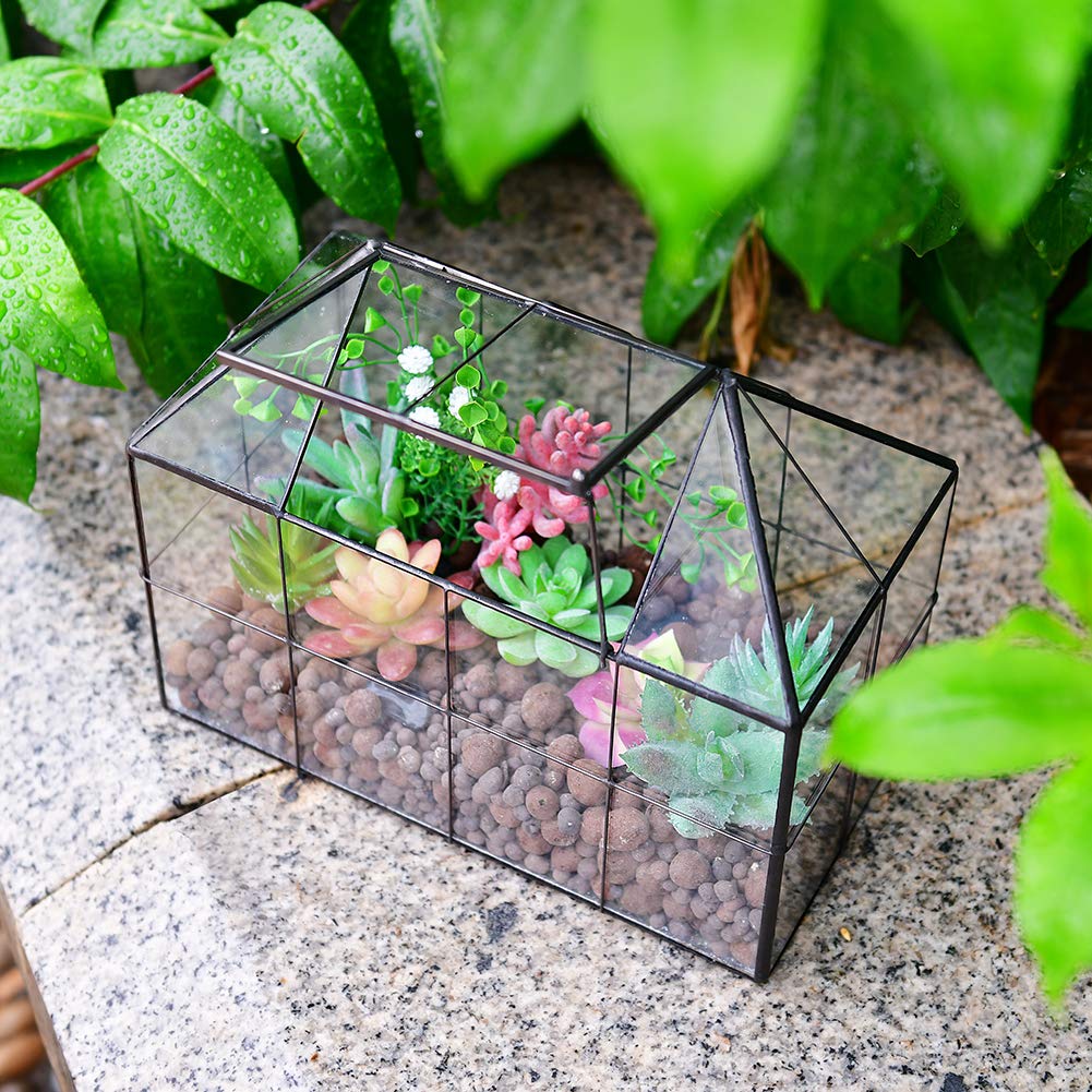 Large Glass Greenhouse Succulent Plant Terrarium with lid Geometric Tabletop
