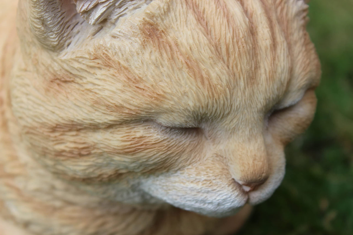 Vivid Arts Ginger Dreaming Cat Resin Ornament